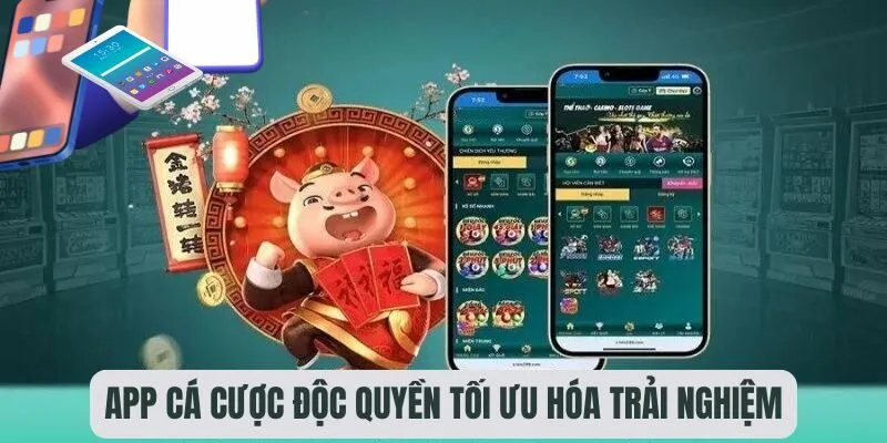 App cá cược độc quyền tối ưu hóa trải nghiệm