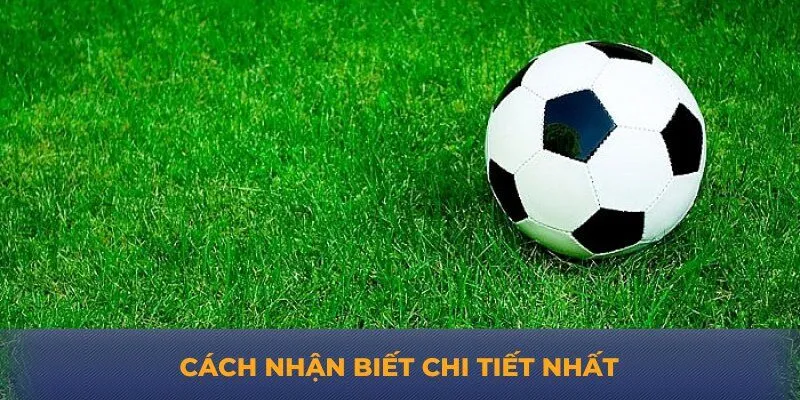 Cách nhận biết chi tiết nhất