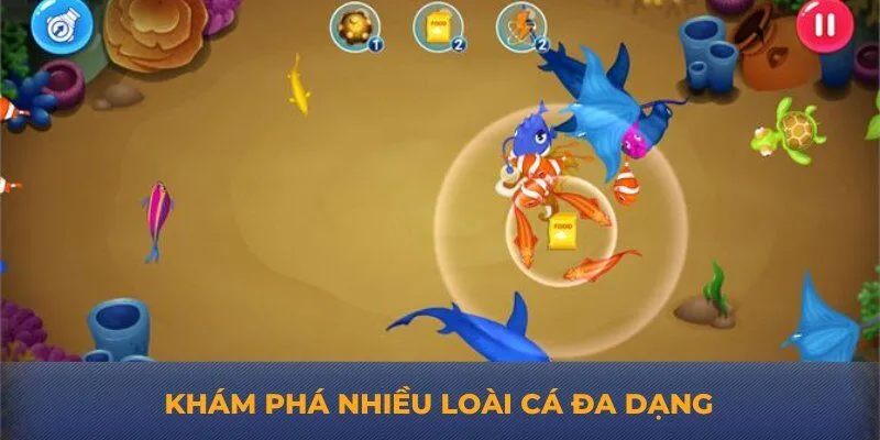 Khám phá nhiều loài cá đa dạng