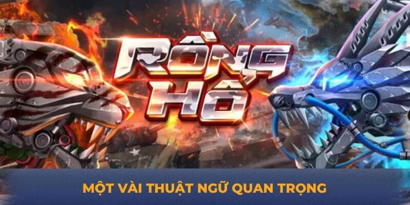 Một vài thuật ngữ quan trọng